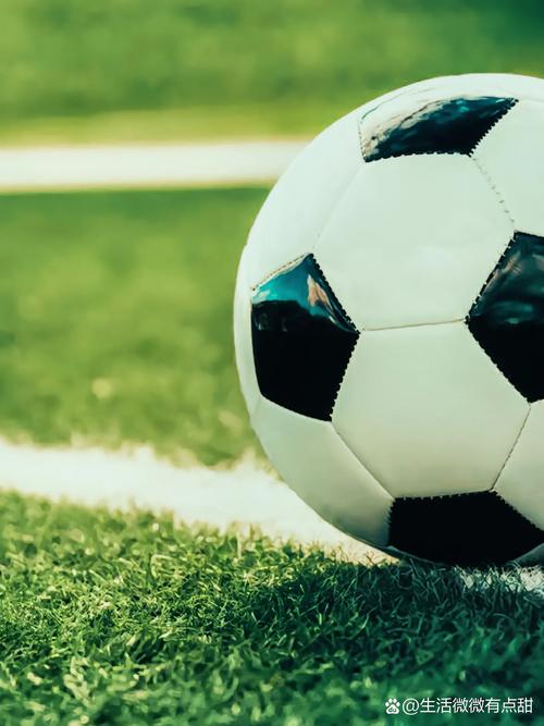 资深玩家深度分析场景