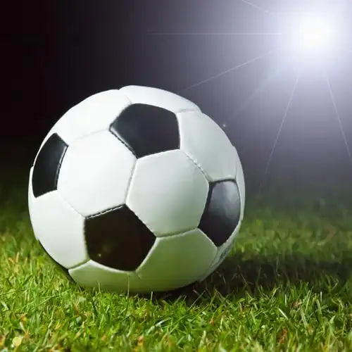 理性投注用户场景