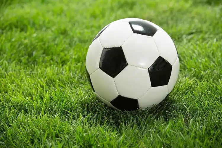 用户李女士头像